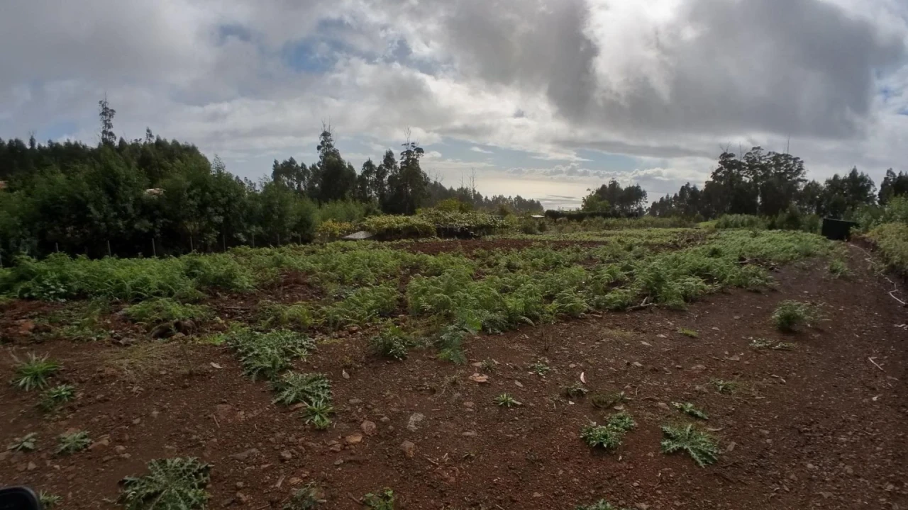 Terreno Agricola ou Rústico para Venda em Canhas Foto 10