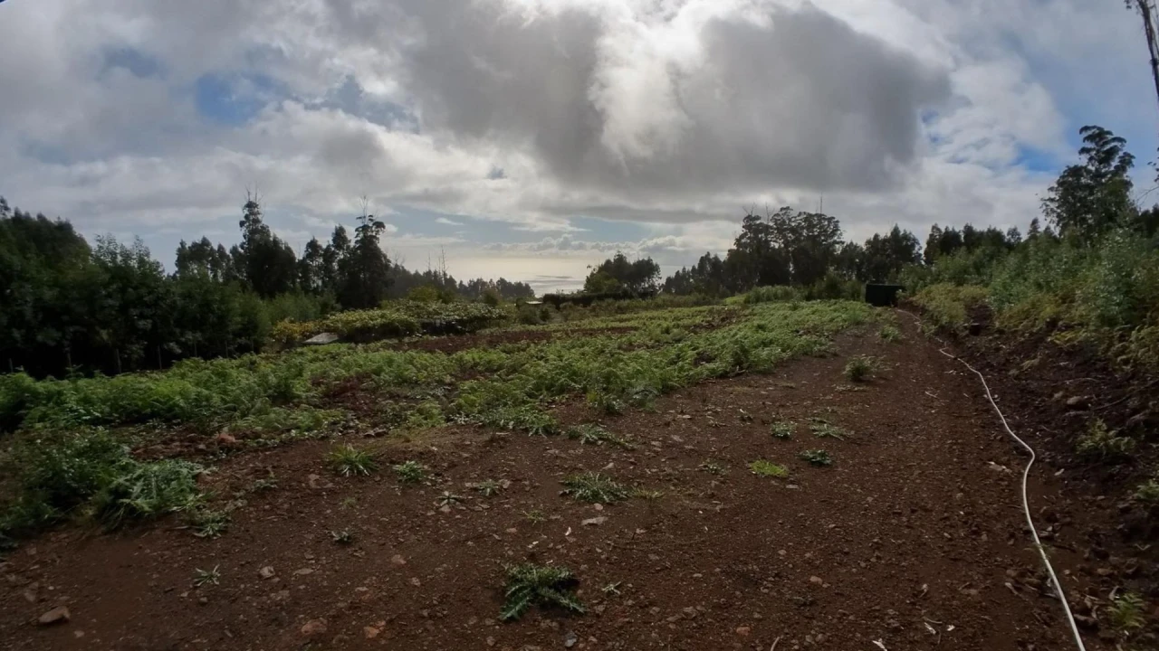 Terreno Agricola ou Rústico para Venda em Canhas Foto 6