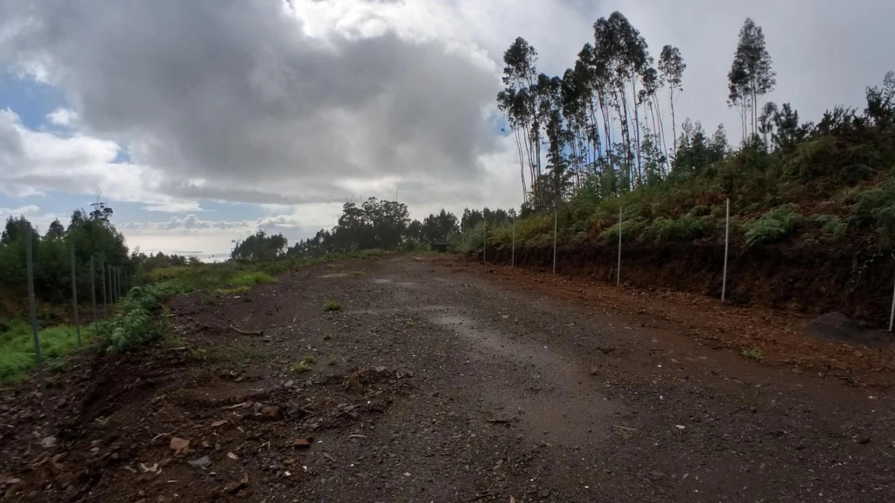 Terreno Agricola ou Rústico para Venda em Canhas Foto 7