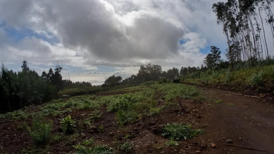 Terreno Agricola ou Rústico para Venda em Canhas Foto 1