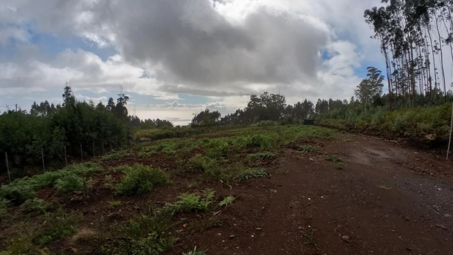 Terreno Agricola ou Rústico para Venda em Canhas Foto 2