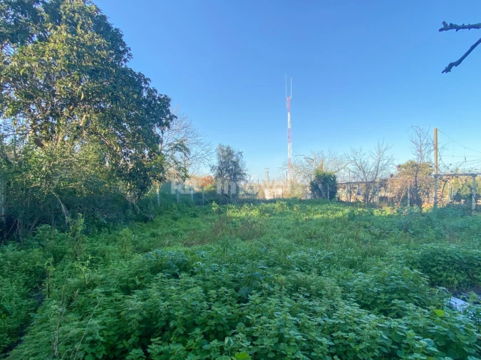 Moradia T5 para Venda em Olaia e Paço Foto 7