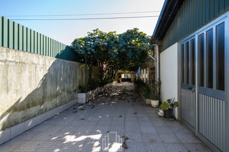 Moradia T3 para Venda em Ovar, São João, Arada e São Vicente de Pereira Jusã Foto 2