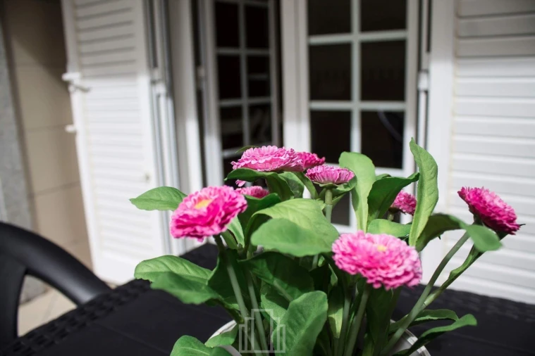 Apartamento T1 para Venda em Ovar, São João, Arada e São Vicente de Pereira Jusã Foto 2