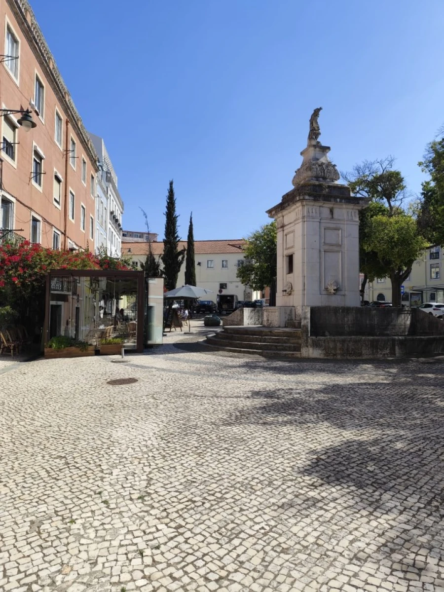 Loja para Arrendamento em Estrela Foto 2