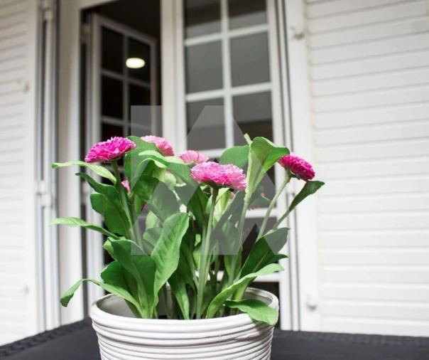 Apartamento T1 para Venda em Ovar, São João, Arada e São Vicente de Pereira Jusã Foto 6