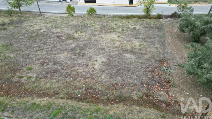 Terreno para Venda em Souselas e Botão Foto 5