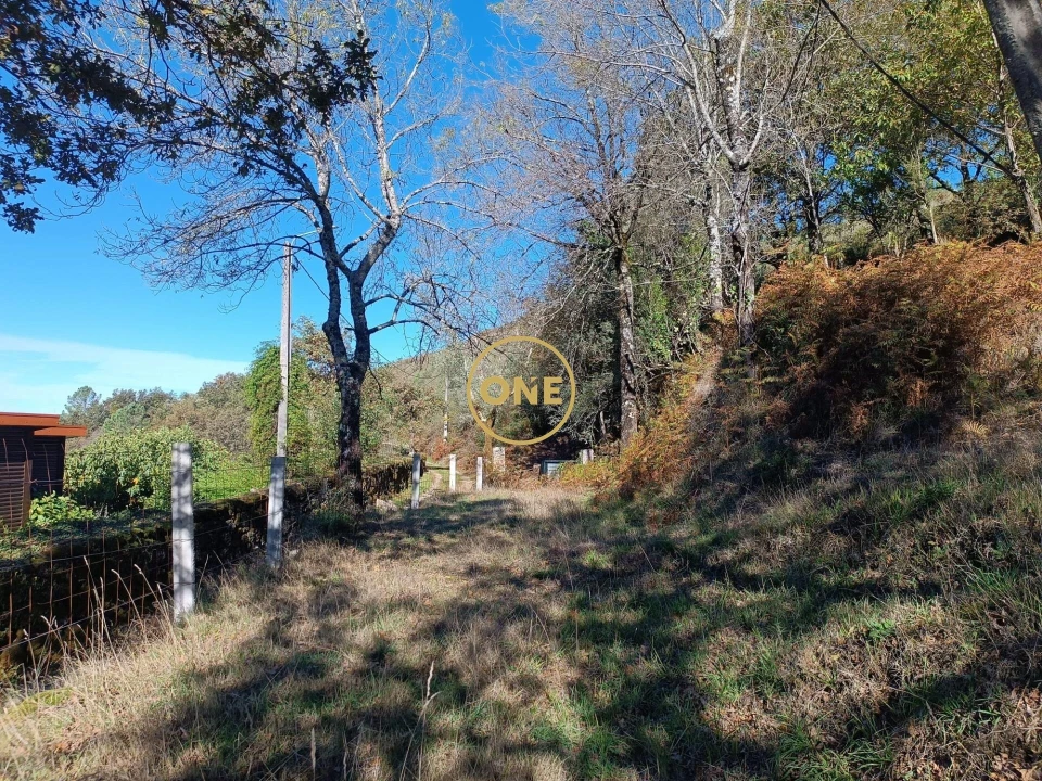 Terreno para Venda em Chorense e Monte Foto 12