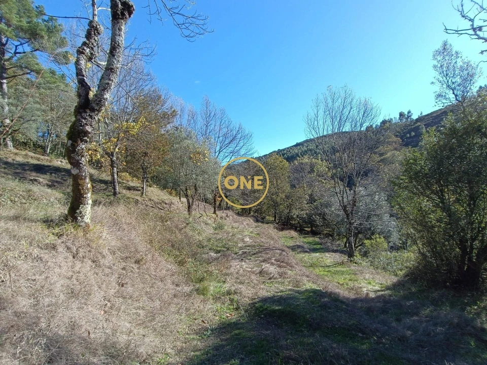 Terreno para Venda em Chorense e Monte Foto 9