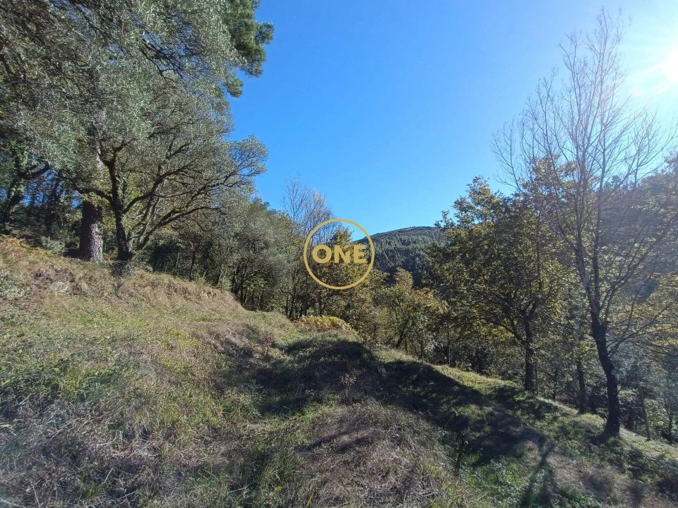 Terreno para Venda em Chorense e Monte Foto 6