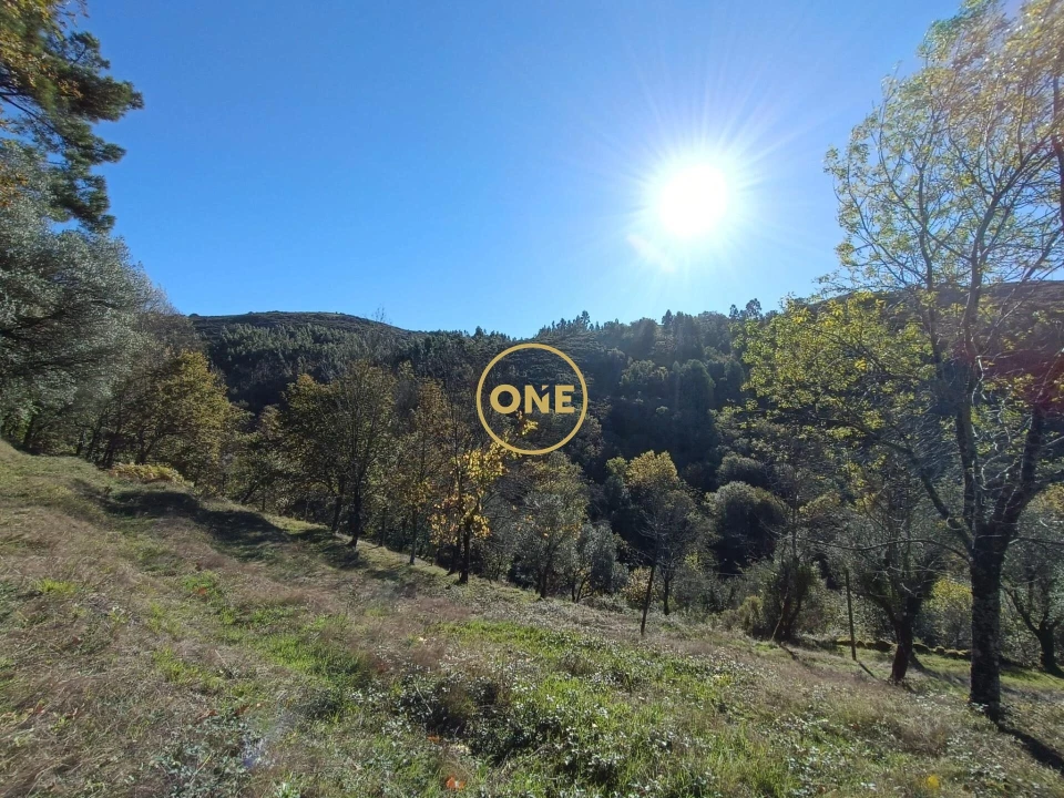 Terreno para Venda em Chorense e Monte Foto 4