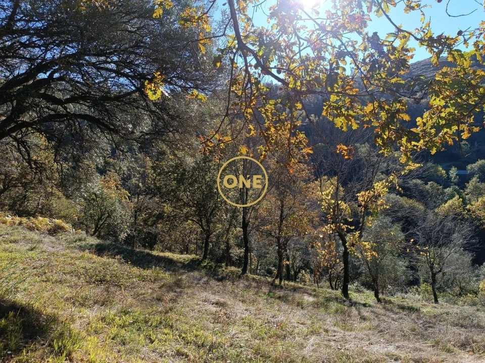 Terreno para Venda em Chorense e Monte Foto 11