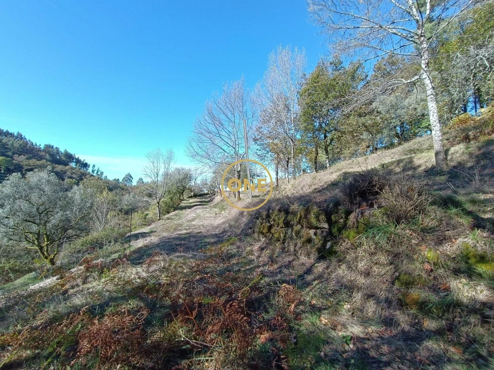 Terreno para Venda em Chorense e Monte Foto 5