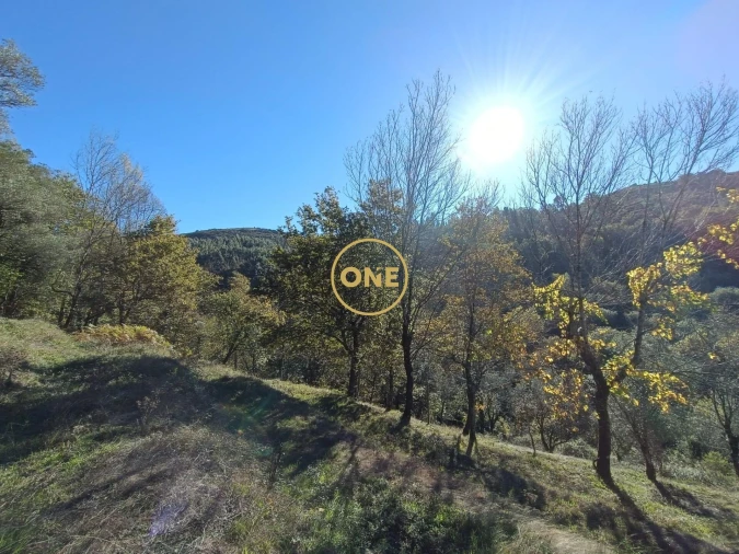 Terreno para Venda em Chorense e Monte Foto 7