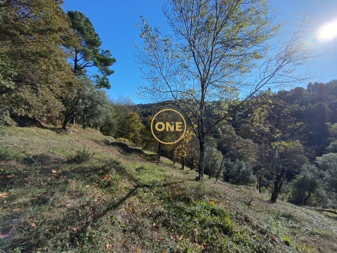 Terreno para Venda em Chorense e Monte Foto 10
