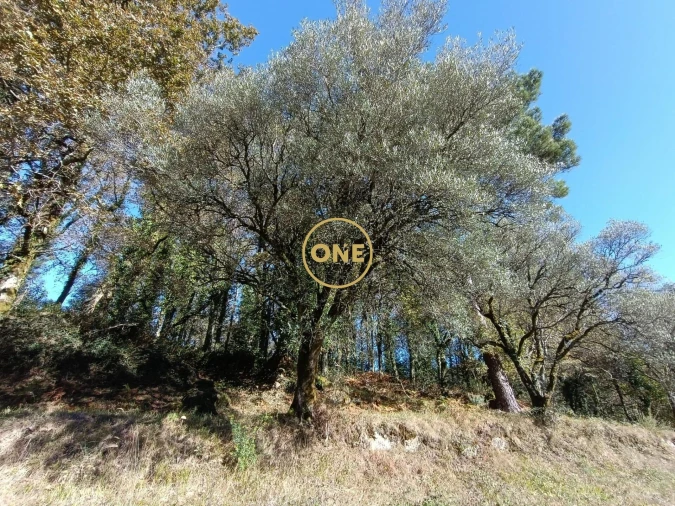 Terreno para Venda em Chorense e Monte Foto 8