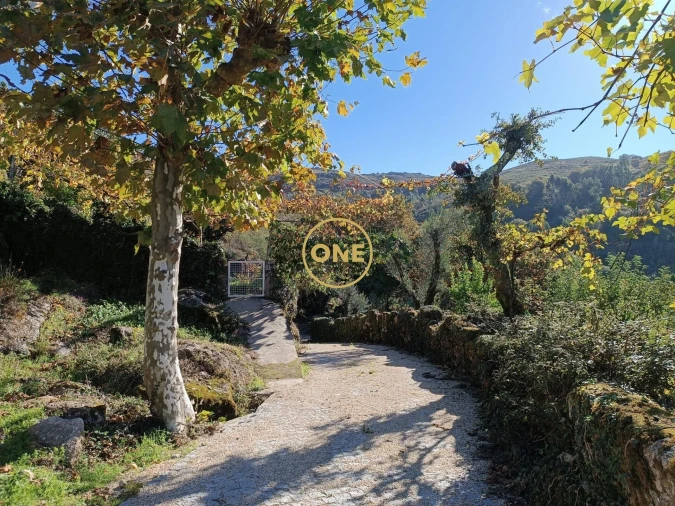 Terreno para Venda em Chorense e Monte Foto 13