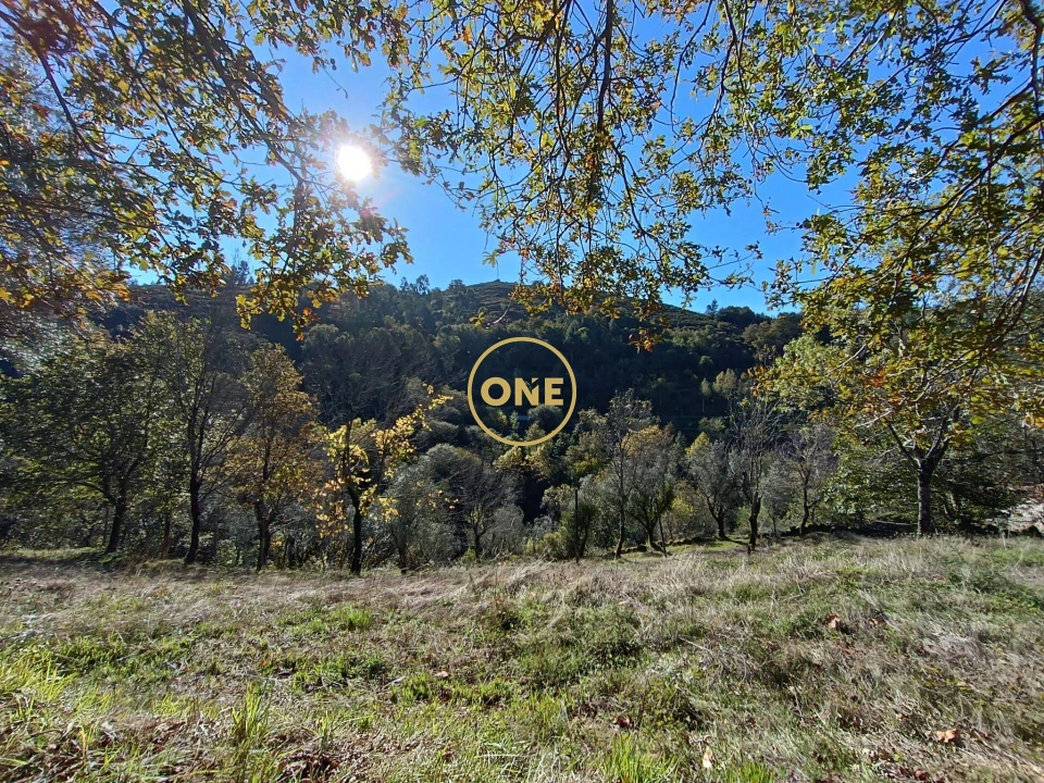Terreno para Venda em Chorense e Monte Foto 3