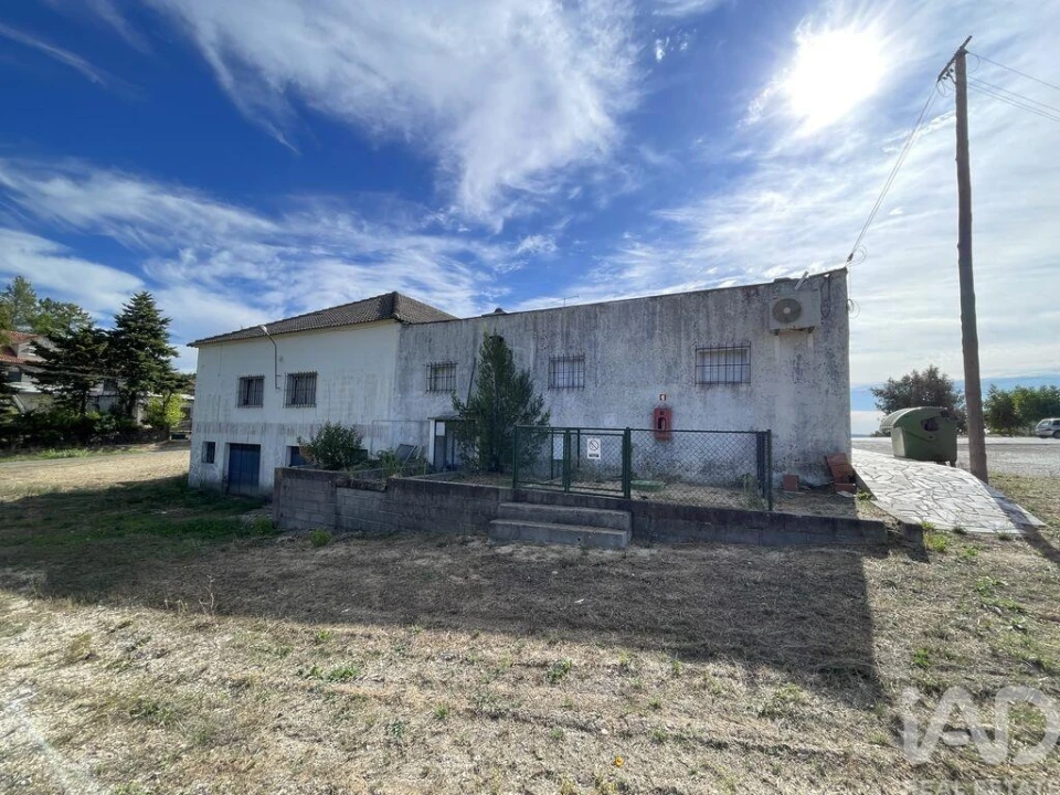 Loja para Venda em Madalena e Beselga Foto 28