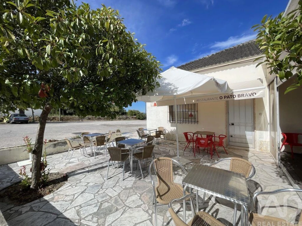 Loja para Venda em Madalena e Beselga Foto 24