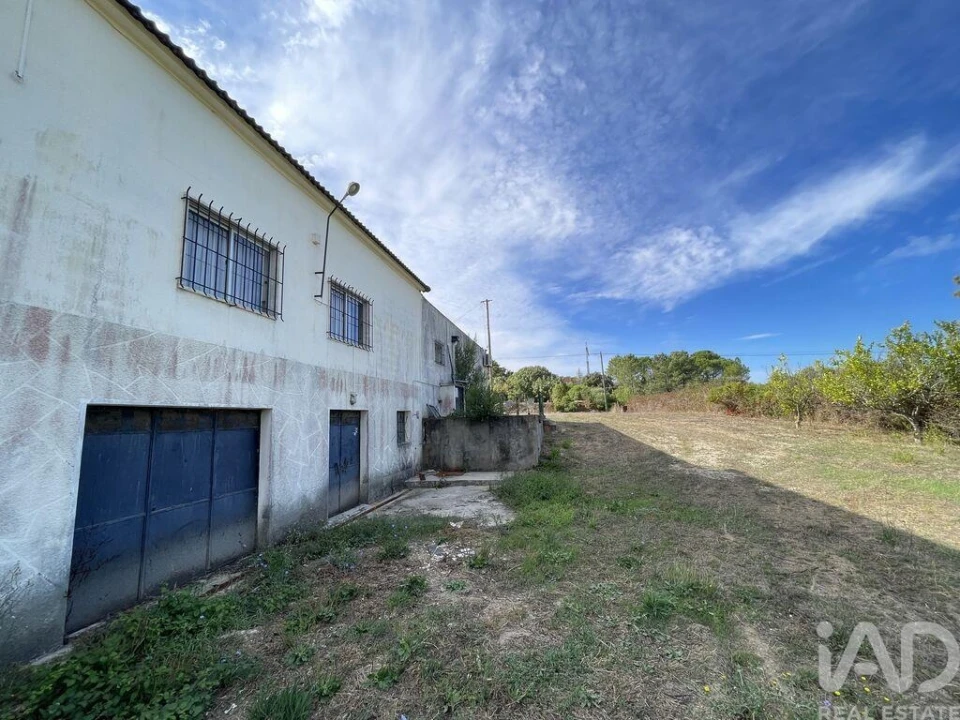 Loja para Venda em Madalena e Beselga Foto 27