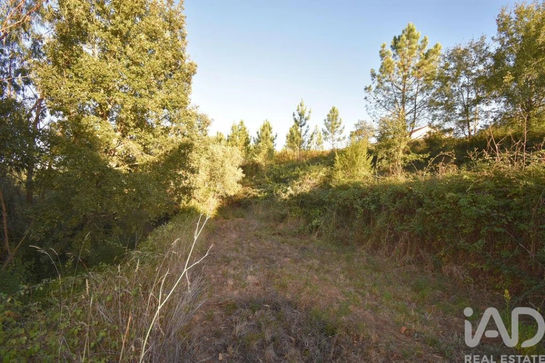 Terreno para Venda em Pelariga Foto 9