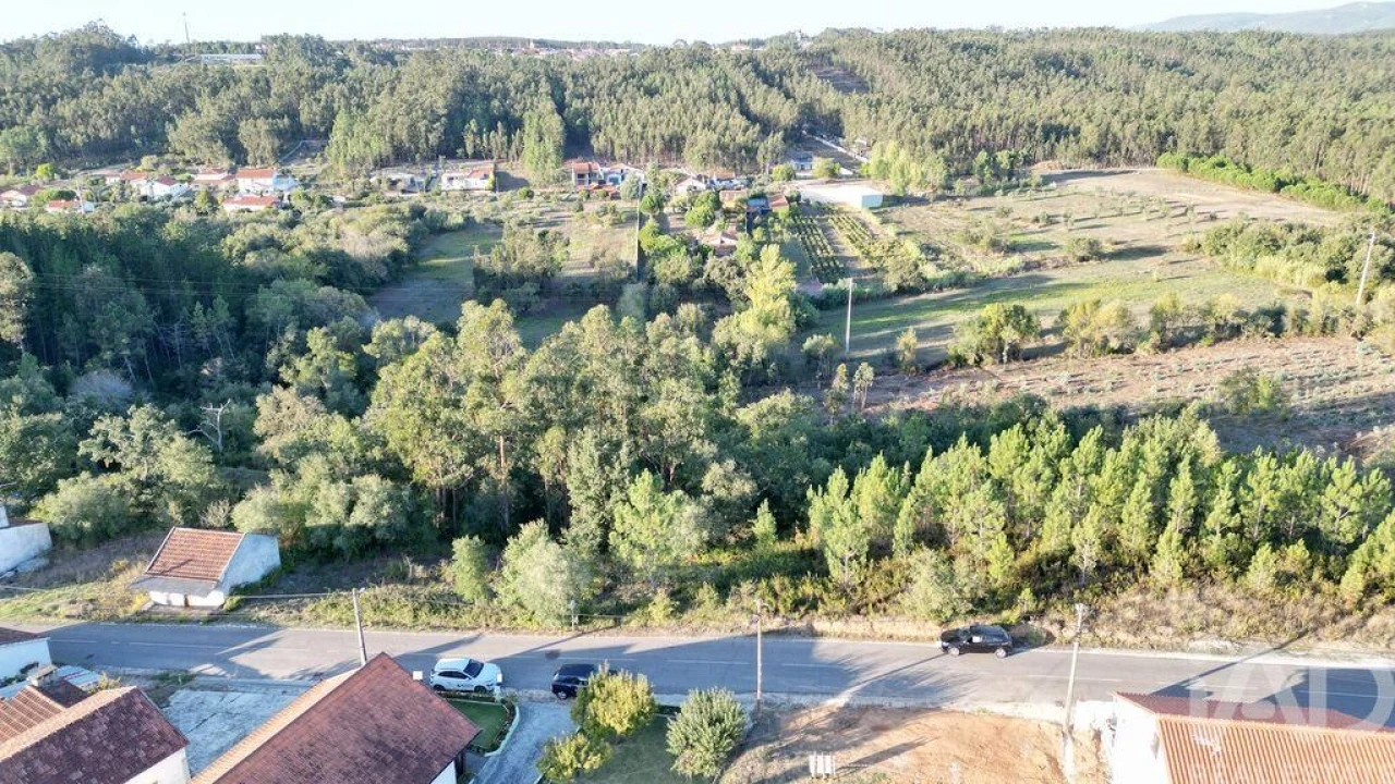 Terreno para Venda em Pelariga Foto 5