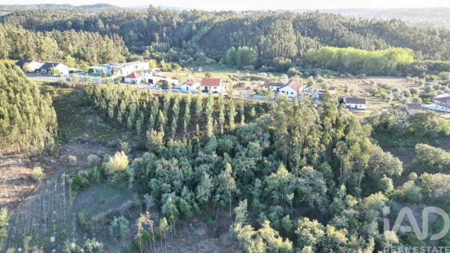 Terreno para Venda em Pelariga Foto 4
