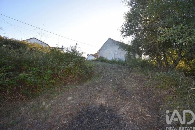 Terreno para Venda em Pelariga Foto 10