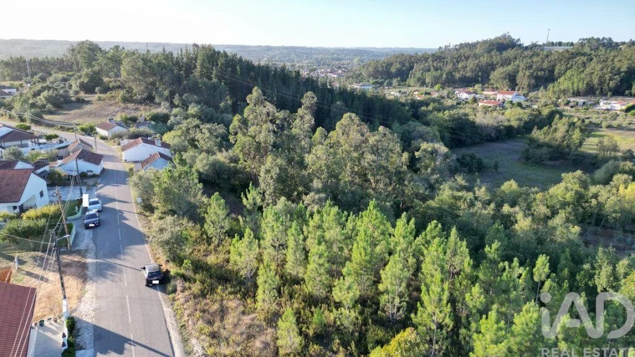 Terreno para Venda em Pelariga Foto 2