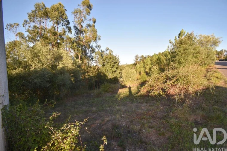 Terreno para Venda em Pelariga Foto 7