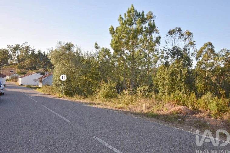 Terreno para Venda em Pelariga Foto 14