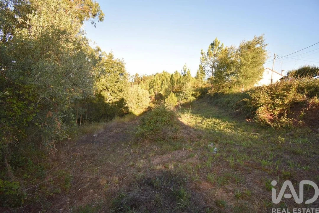 Terreno para Venda em Pelariga Foto 8