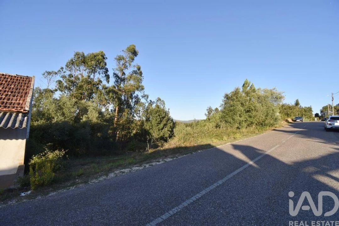 Terreno para Venda em Pelariga Foto 6