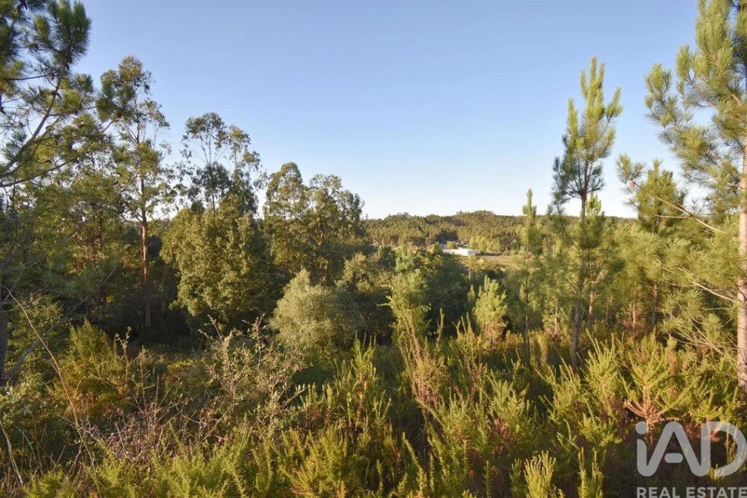 Terreno para Venda em Pelariga Foto 12