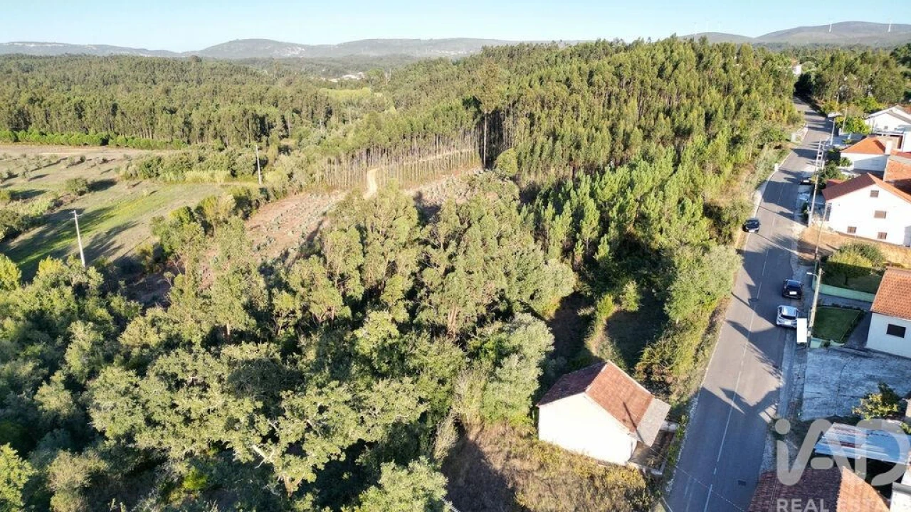 Terreno para Venda em Pelariga Foto 3