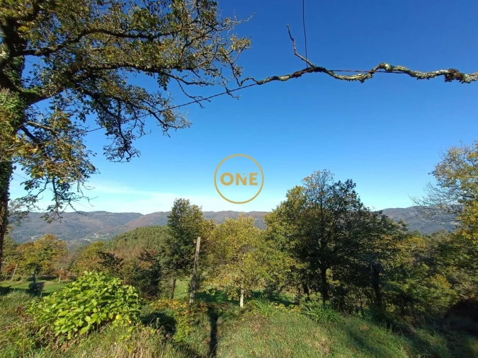 Moradia T3 para Venda em Chorense e Monte Foto 29