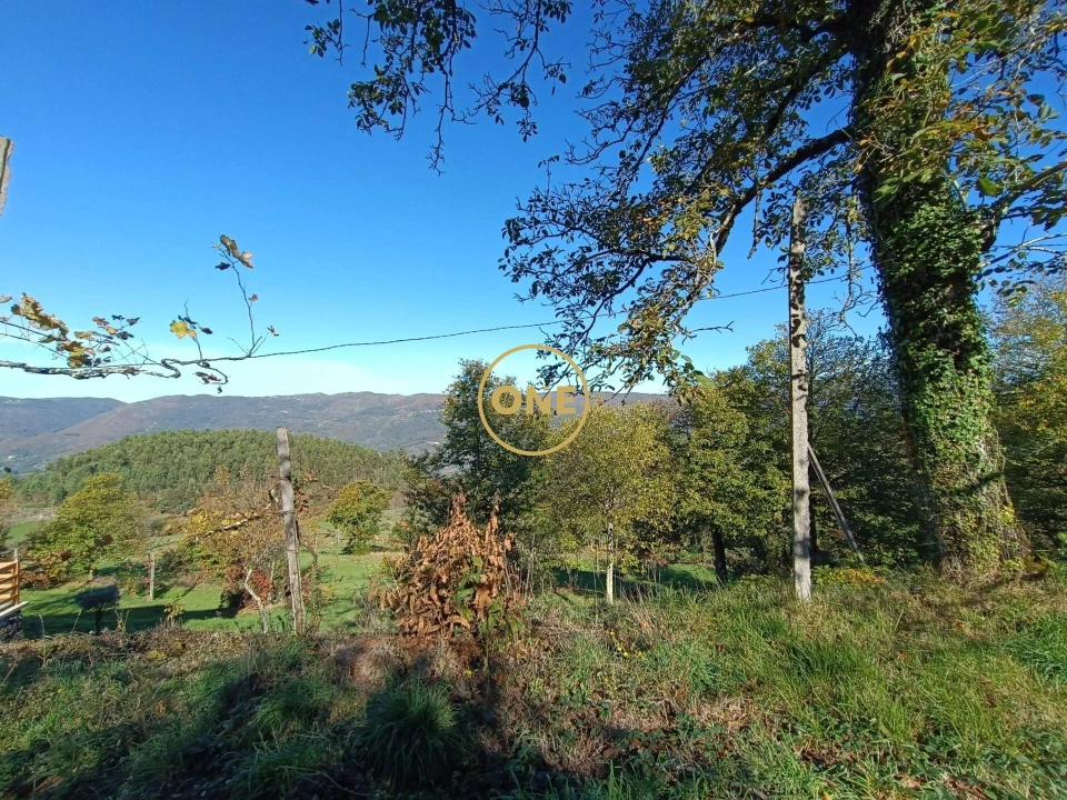 Moradia T3 para Venda em Chorense e Monte Foto 31