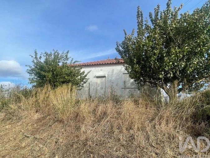 Moradia T2 para Venda em Santa Maria, São Pedro e Matacães Foto 24