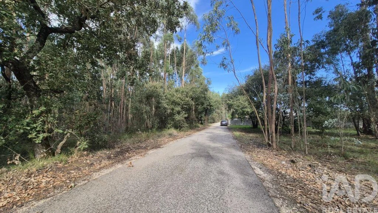 Terreno para Venda em Pedreiras Foto 5