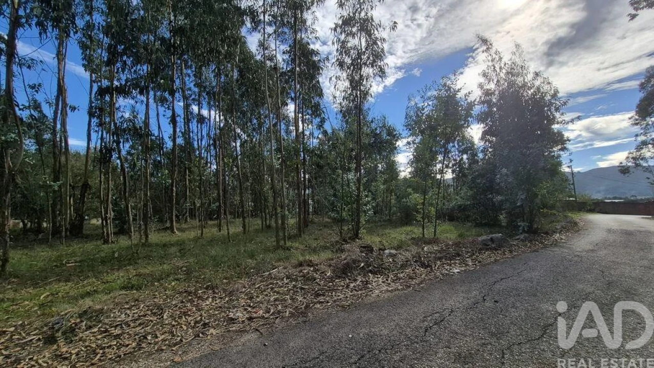 Terreno para Venda em Pedreiras Foto 2