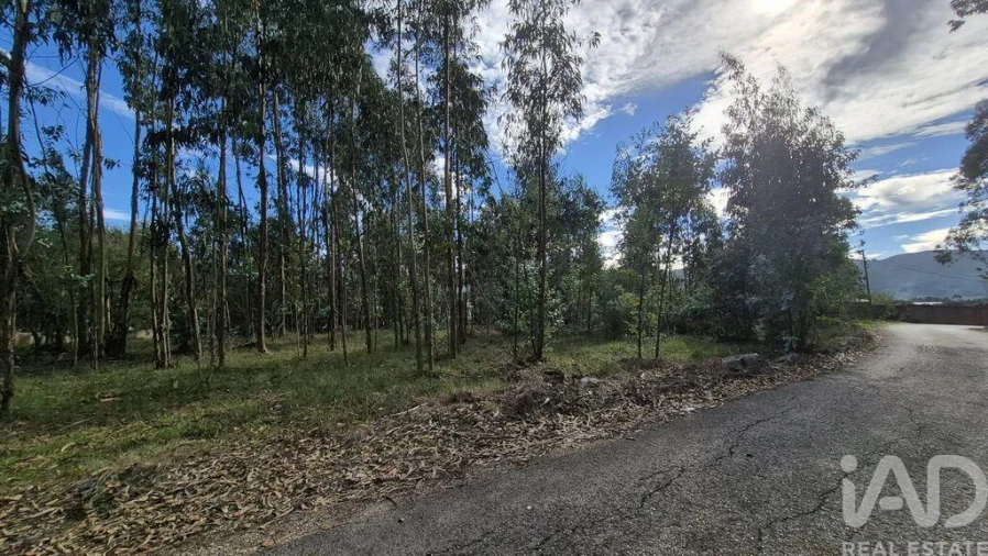 Terreno para Venda em Pedreiras Foto 2