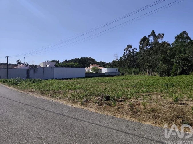 Terreno para Venda em Maceira Foto 6