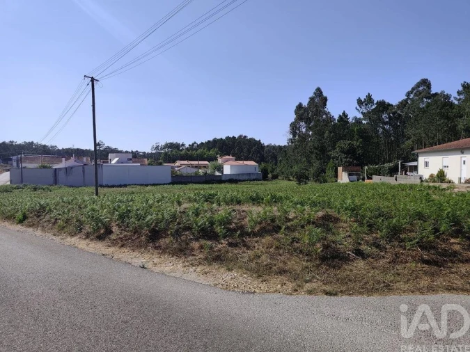 Terreno para Venda em Maceira Foto 8