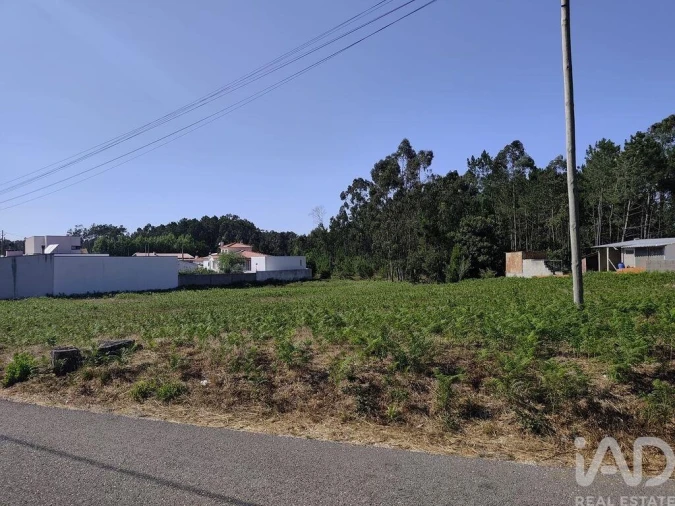 Terreno para Venda em Maceira Foto 10