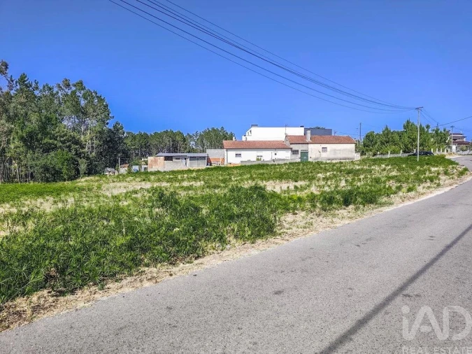 Terreno para Venda em Maceira Foto 3