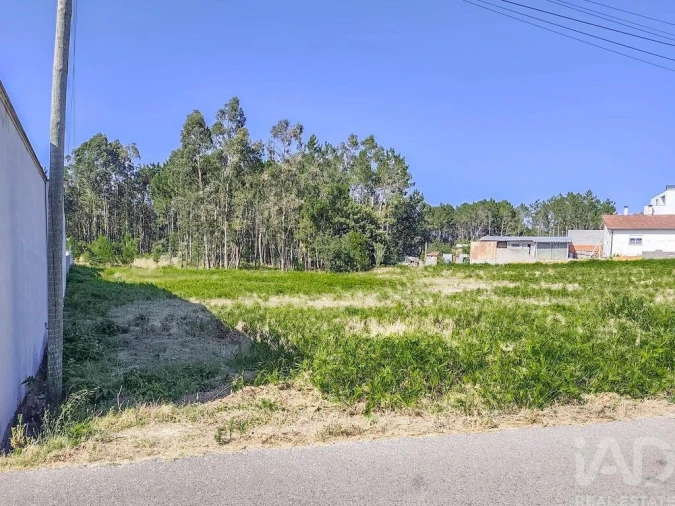 Terreno para Venda em Maceira Foto 4