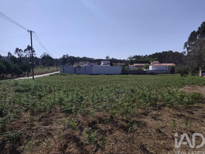 Terreno para Venda em Maceira Foto 9
