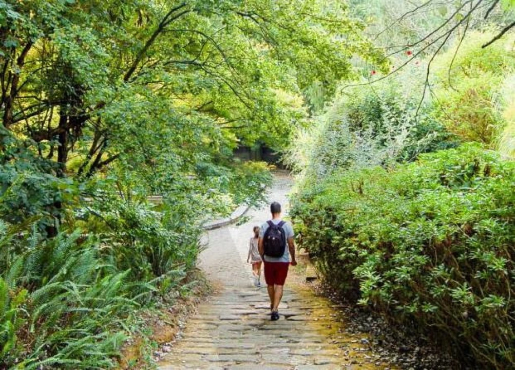 Apartamento T1 para Venda em Paranhos Foto 7