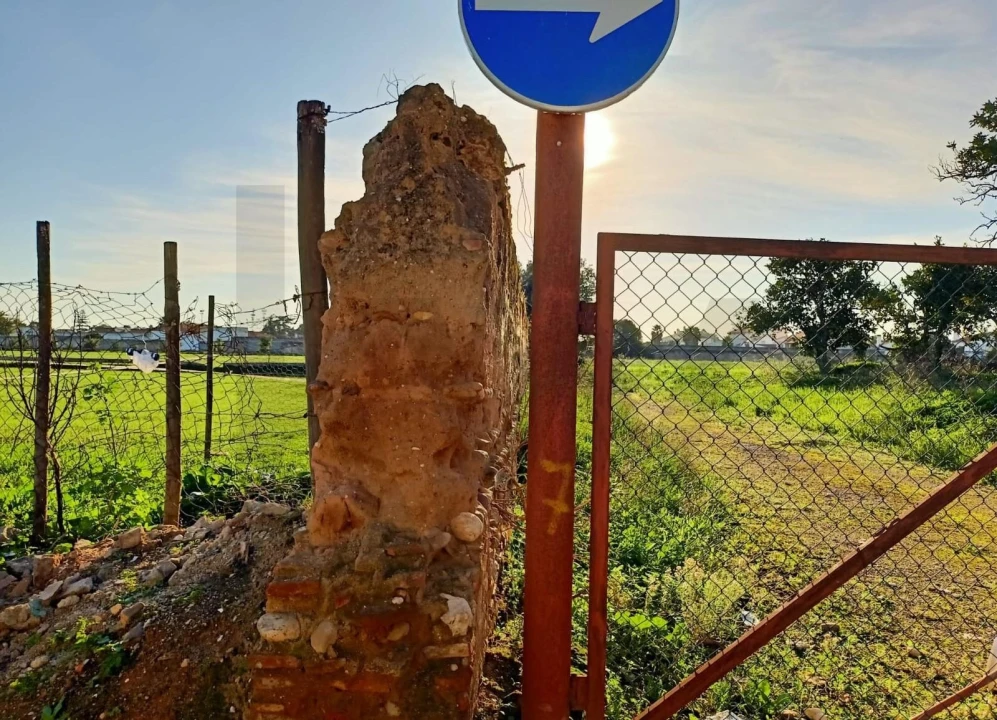 Terreno para Venda em Golegã Foto 13